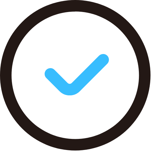 correct Icon