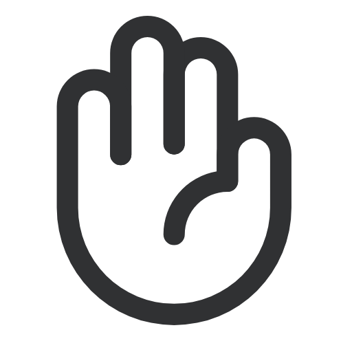 HandPalm Icon