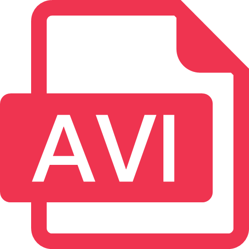 AVI Icon Icon