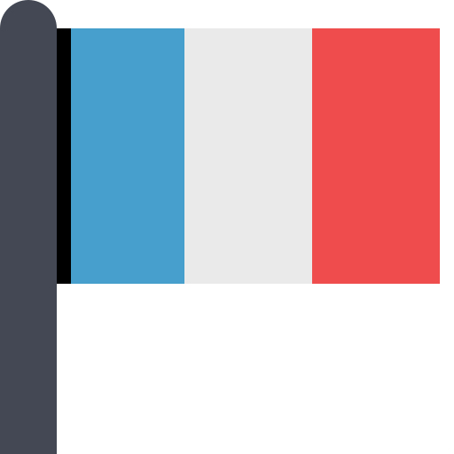 flag-france Icon