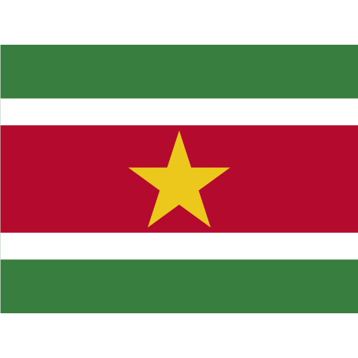 SR Suriname Icon