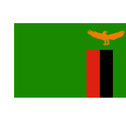 ZM Zambia Icon