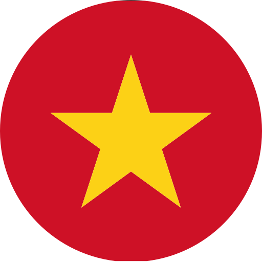 VN Icon
