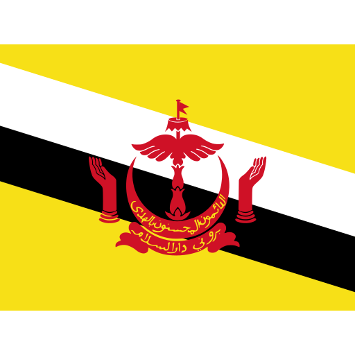 BN Brunei Icon