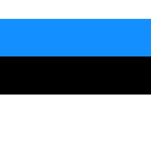 EE Estonia Icon