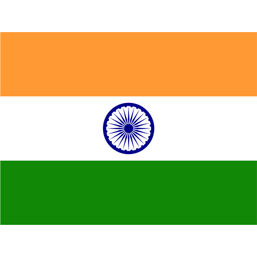 In India Icon