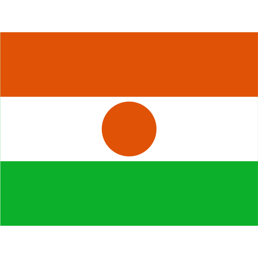 NE Niger Icon