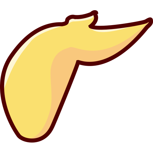 Chicken wings Icon
