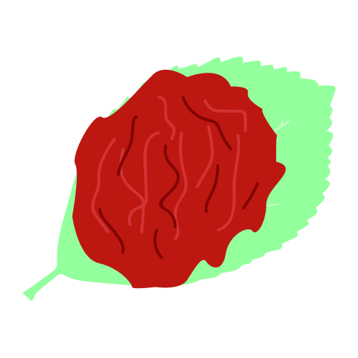 Preserved fruit Icon