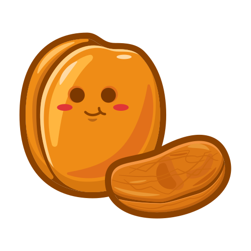 Dried apricot Icon