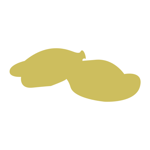 Dried Durian Icon