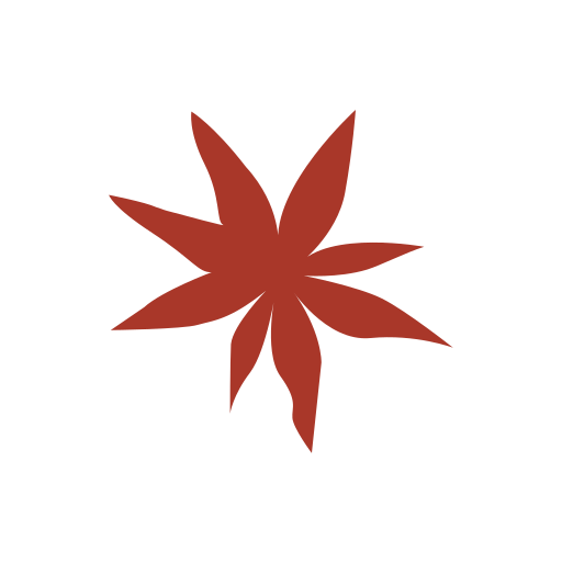 Star anise Icon