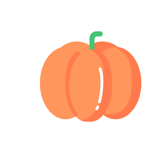Pumpkin Icon