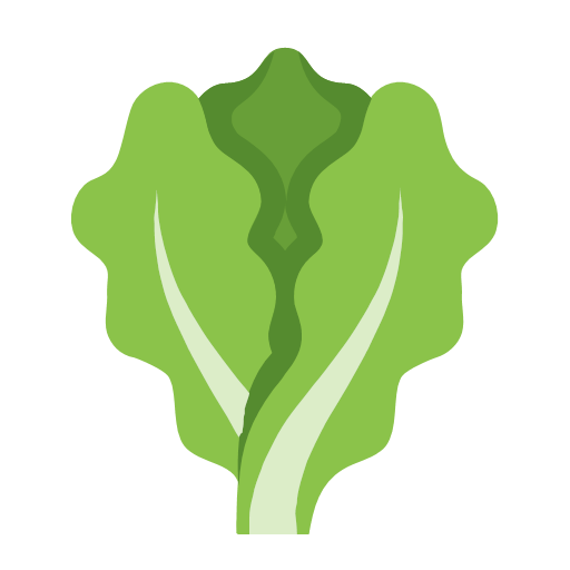 Lettuce Icon