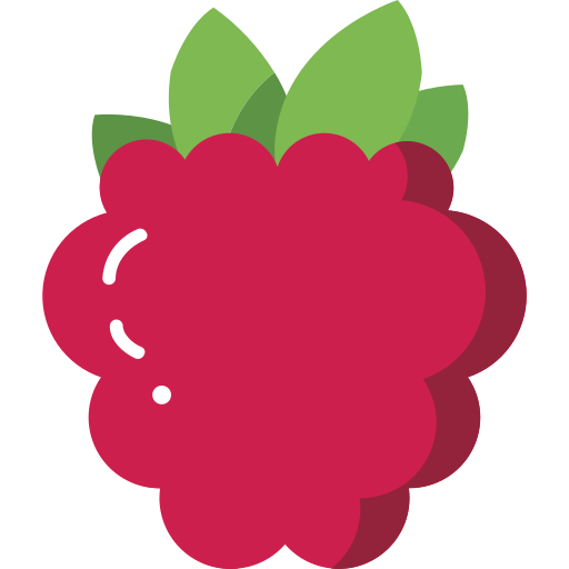raspberry Icon