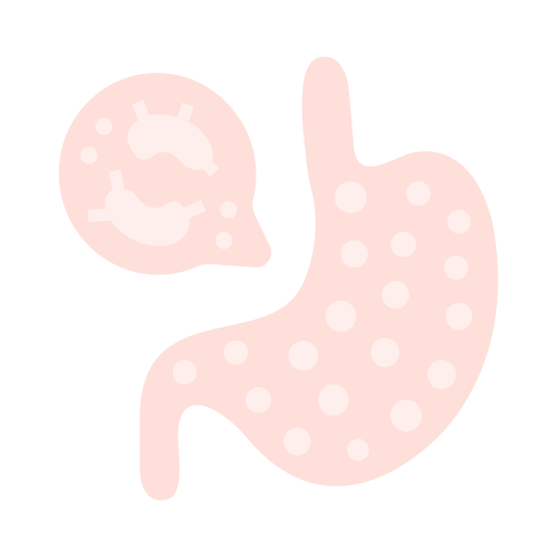 stomach Icon