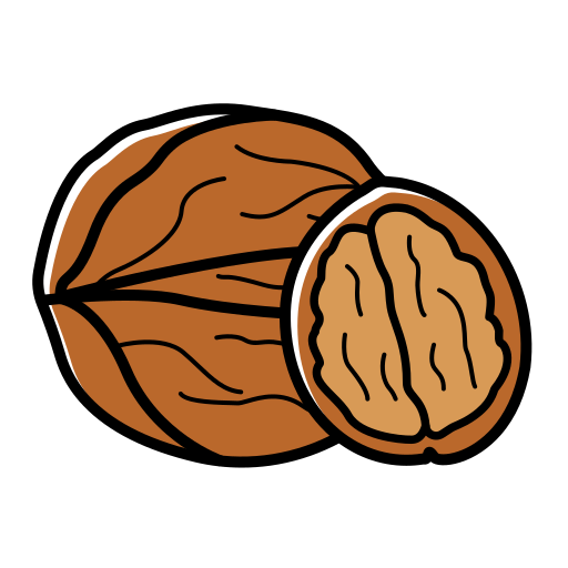 Walnut Icon