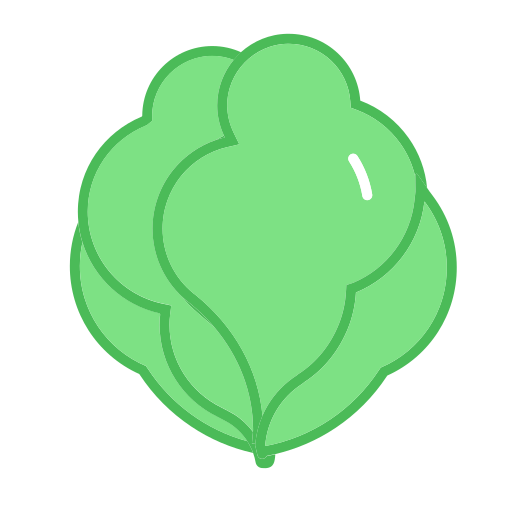 Fresh lettuce Icon