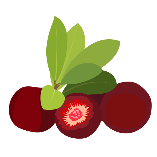 Bayberry Icon