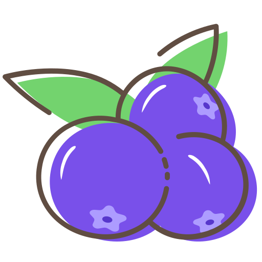 blueberry Icon