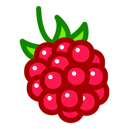 Raspberry Icon