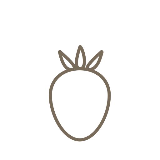 Fruit line Icon