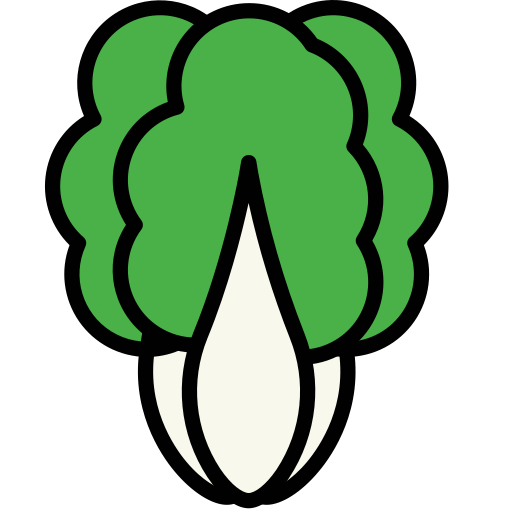 Icon Chinese Cabbage Icon