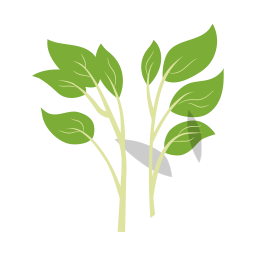 Water spinach Icon