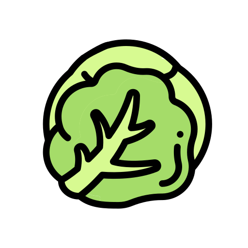 Cabbage Icon