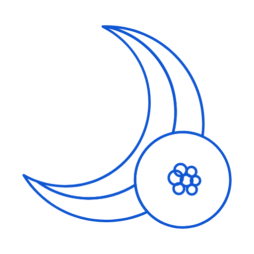 Dried banana Icon