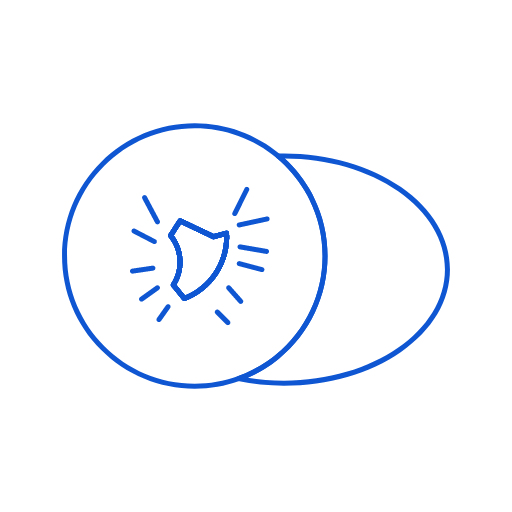 kiwifruit Icon