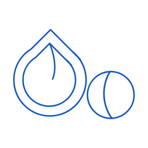 Macadamia nut Icon