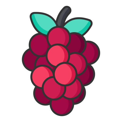 Linear Raspberry Icon
