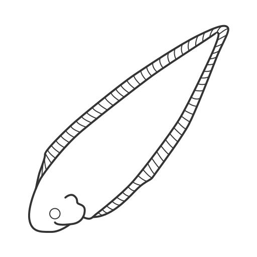 Sole fish Icon