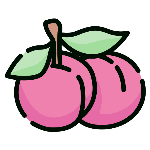 plum Icon
