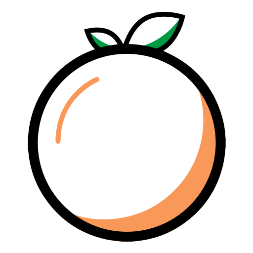 orange Icon