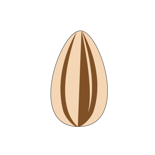Sunflower seed Icon