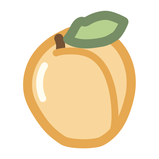 Dried apricot Icon
