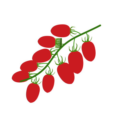 Cherry Tomatoes Icon
