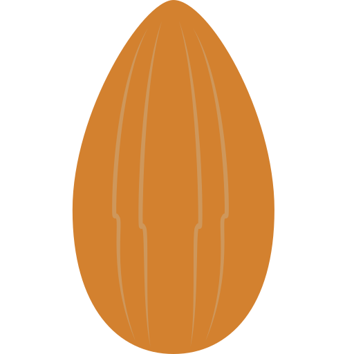Almonds Icon