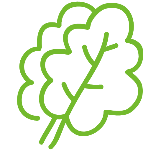 Greens leaf Icon