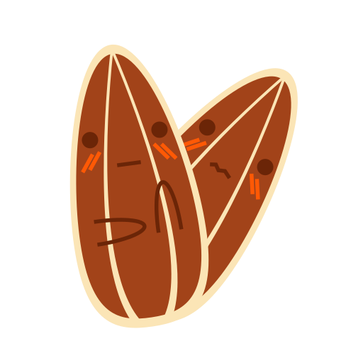 Melon seed Icon