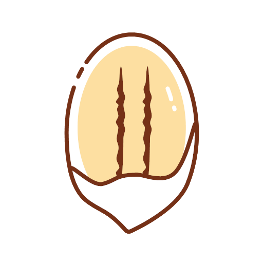 Pecan Icon