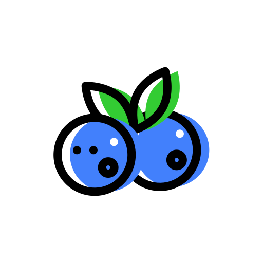11_ Blueberry Icon