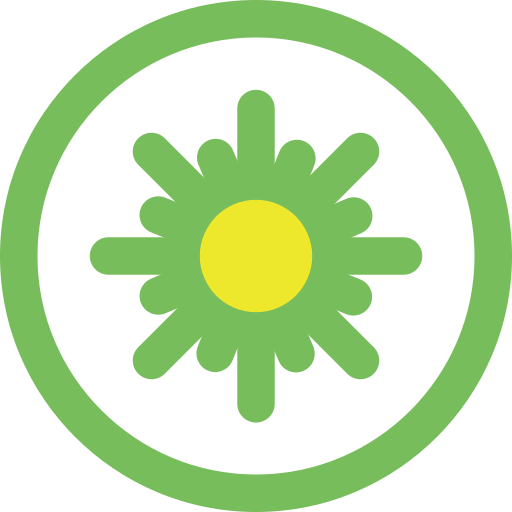 Kiwifruit Icon