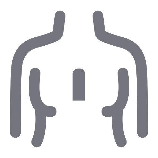chest Icon