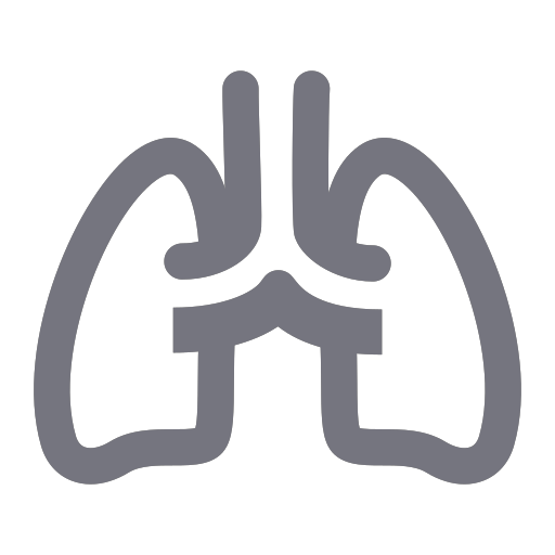 Respiratory department Icon