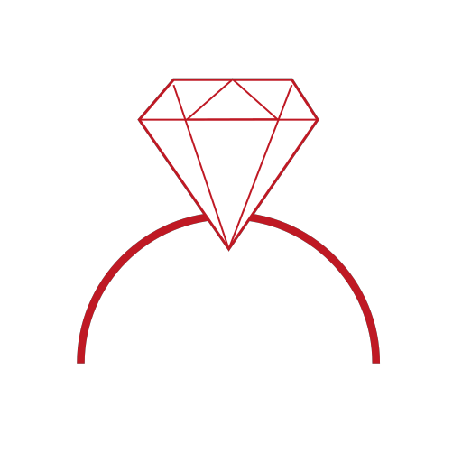 Ring Icon