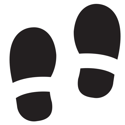 steps Icon