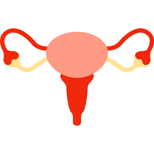Female reproduction Icon